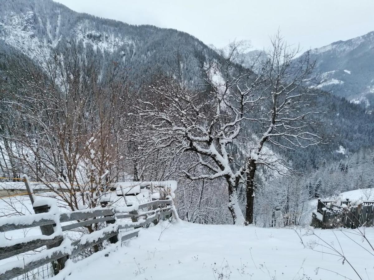 Appartamento Alto Cordevole Колле-Санта-Лучия Экстерьер фото